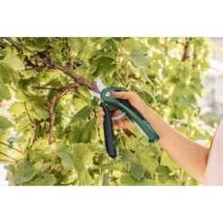 Bosch Akku-Gartenschere EasyPrune 12 Bosch Akku-Gartenschere EasyPrune -Gardena Verkäufe 2610319 3058 05