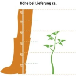 Gardena Verkäufe -Gardena Verkäufe 3875200 3358 2