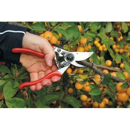 Felco Einhand-Baum-, Reb-, Gartenschere 9 Für Linkshänder 2 Felco Einhand-Baum-, Reb-, Gartenschere 9 Für Linkshänder – Bild 2