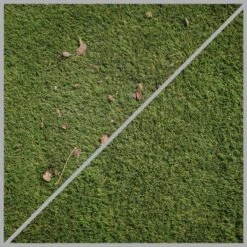 Einhell Oberflächenbürsten-Zubehör Bürste SOFT (Holz, Kunstrasen) 9 Einhell Oberflächenbürsten-Zubehör Bürste SOFT (Holz, Kunstrasen) -Gardena Verkäufe 977996 2171 05