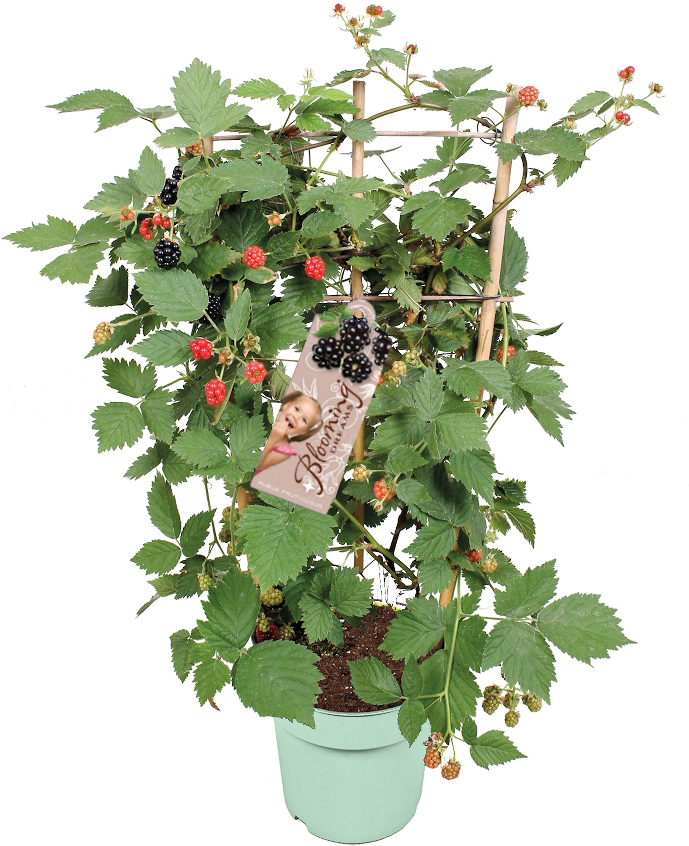 Gardena Verkäufe -Gardena Verkäufe 720890 4333 1