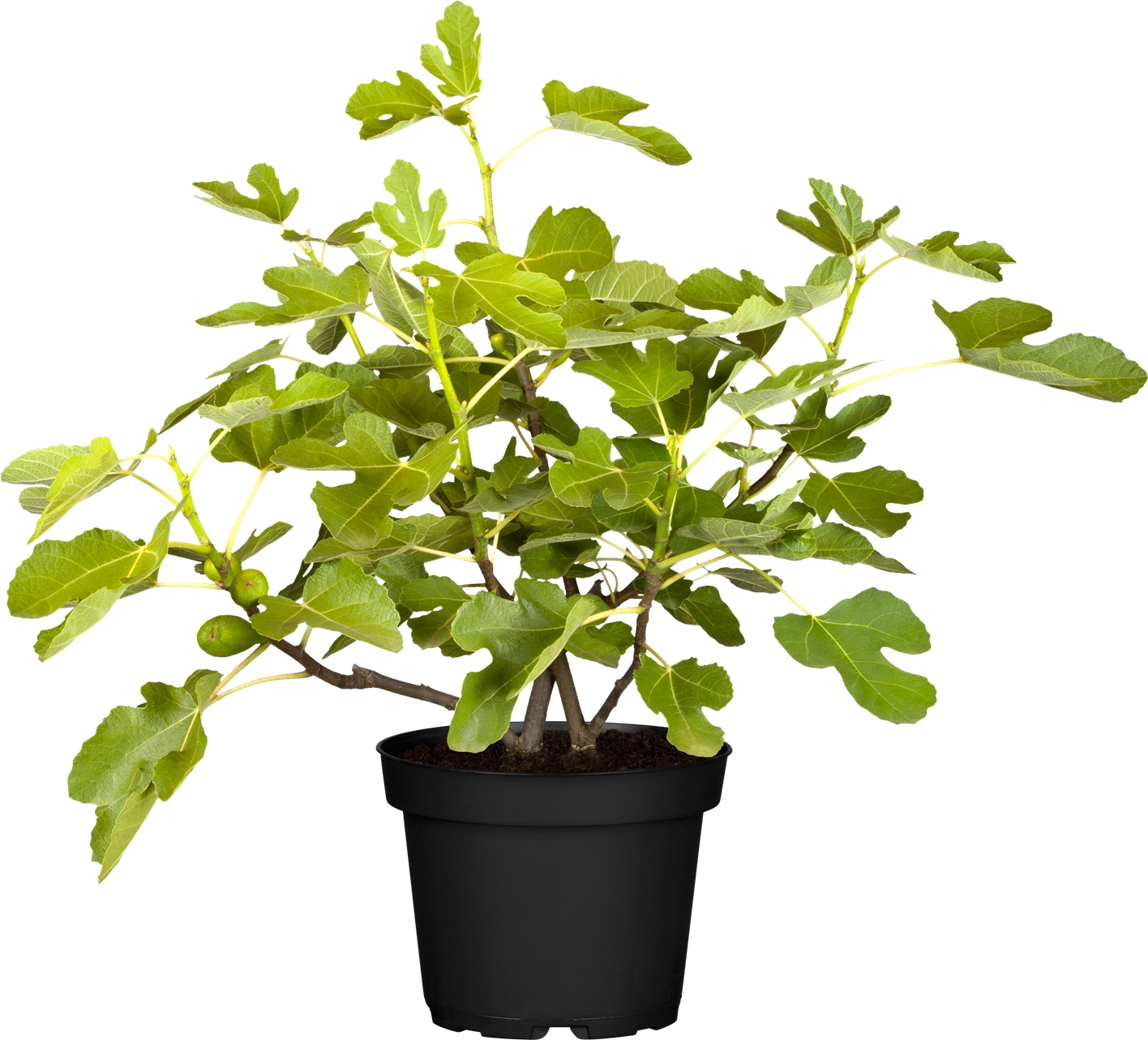 Gardena Verkäufe -Gardena Verkäufe 942083 3358 1